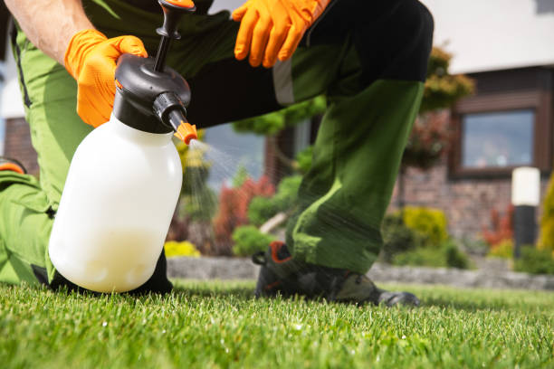 Reliable Franklin, OH Pest Control Solutions