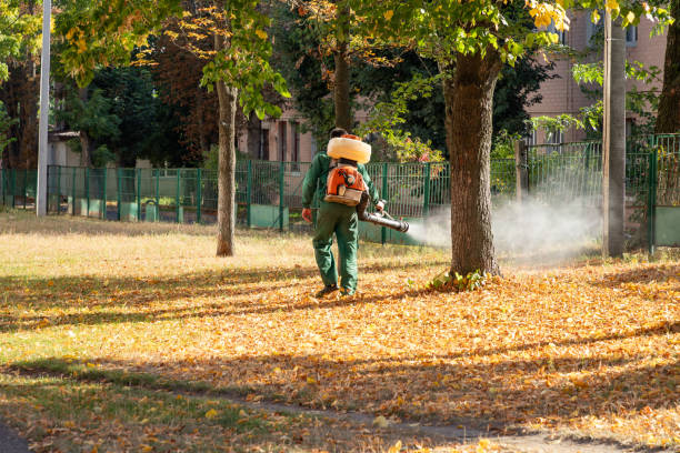 Best Insect Control  in Franklin, OH